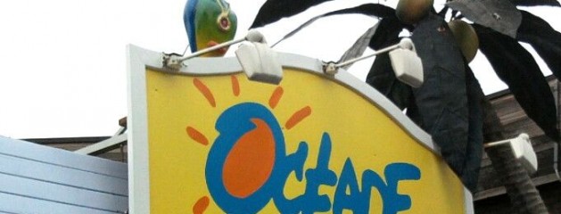 perroquets mascotte Du parc aquatique Océade