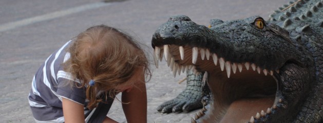 Crocodile